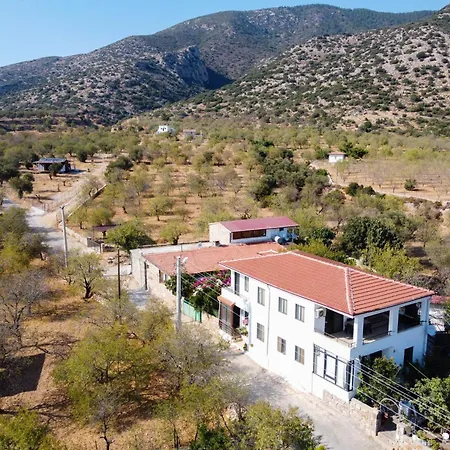 Eyluel Willa Datça